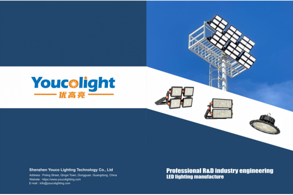 Professional R&D industry engineering LED lighting manufacture